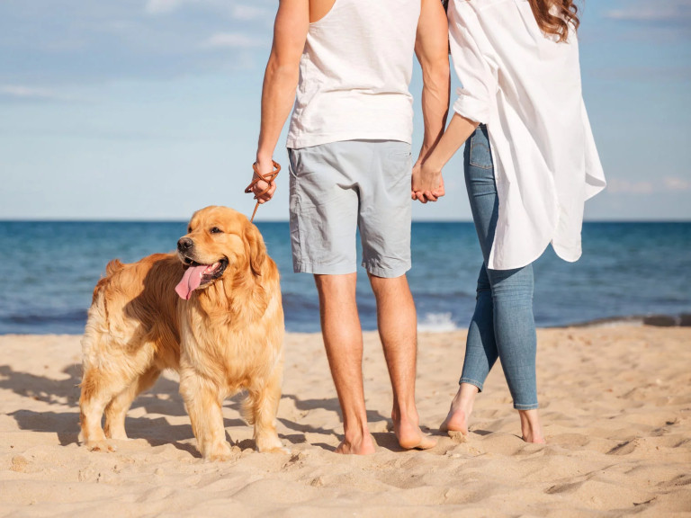 media.Slide-Pet_1Hotel-Trocadero-Riccione