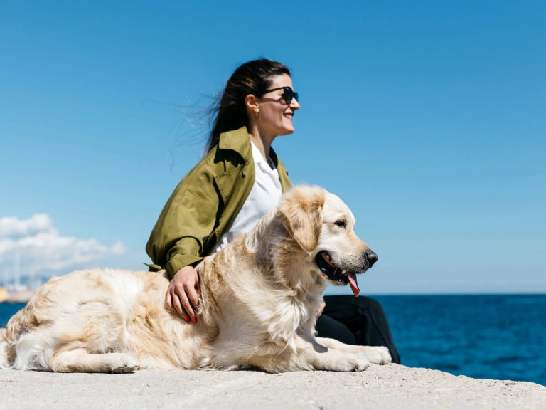 media.Slide-Pet_2Hotel-Trocadero-Riccione