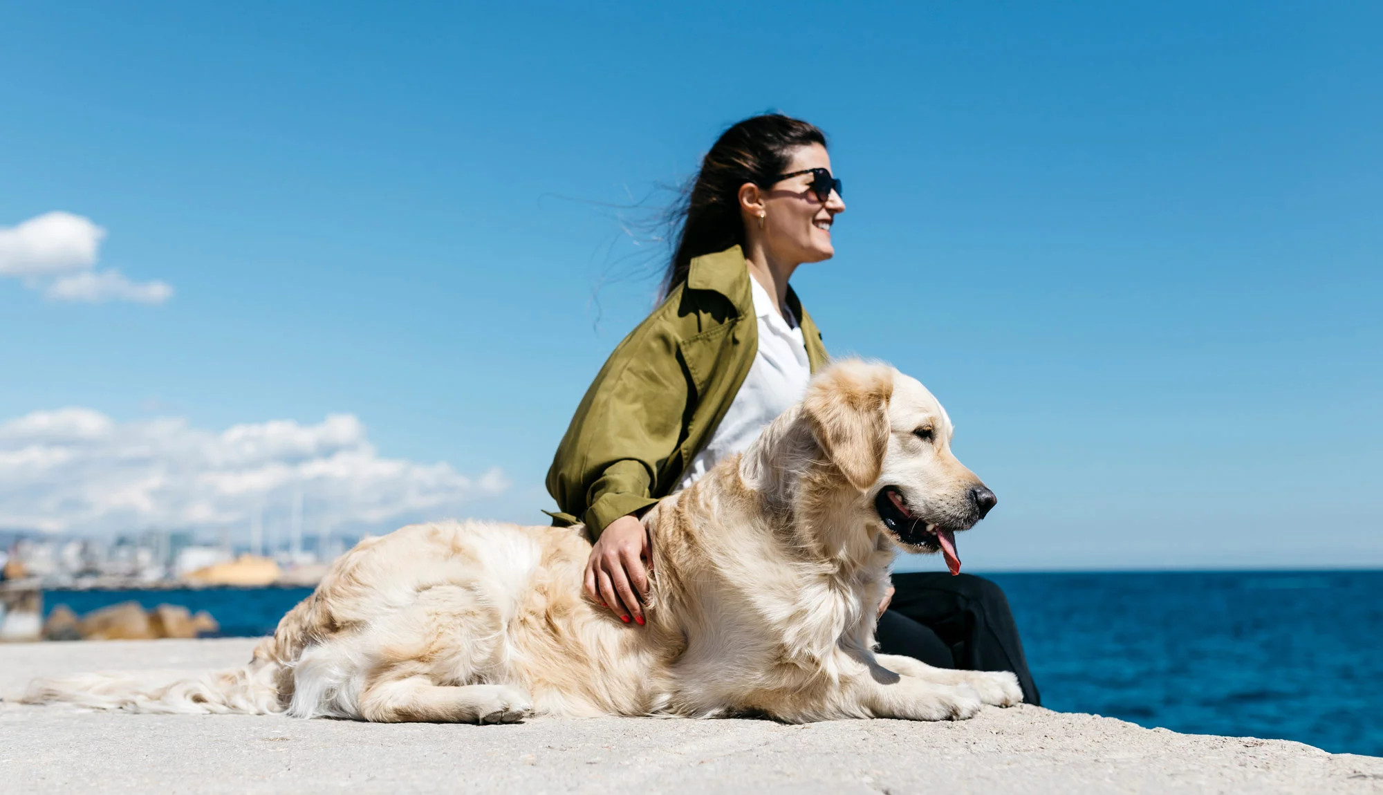 media.Slide-Pet_2Hotel-Trocadero-Riccione